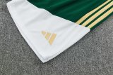 26/27 (2026) Italy Training Green 1:1 Quality Training Jersey（A-Set）