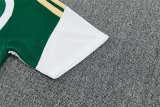 26/27 (2026) Italy Training Green 1:1 Quality Training Jersey（A-Set）