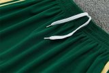 26/27 (2026) Italy Training Green 1:1 Quality Training Jersey（A-Set）