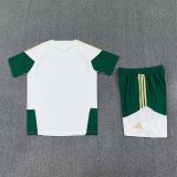 26/27 (2026) Italy Training White 1:1 Quality Training Jersey（A-Set）