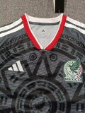 26/27 (2026) Mexico Special Edition  Fans 1:1 Quality Soccer Jersey