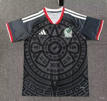 26/27 (2026) Mexico Special Edition  Fans 1:1 Quality Soccer Jersey