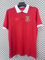 26/27 (2026)  Wales  150th Anniversary Edition  Fans 1:1 Quality Soccer Jersey