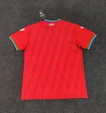 26/27 (2026)  Guinea Home Fans 1:1 Quality Soccer Jersey