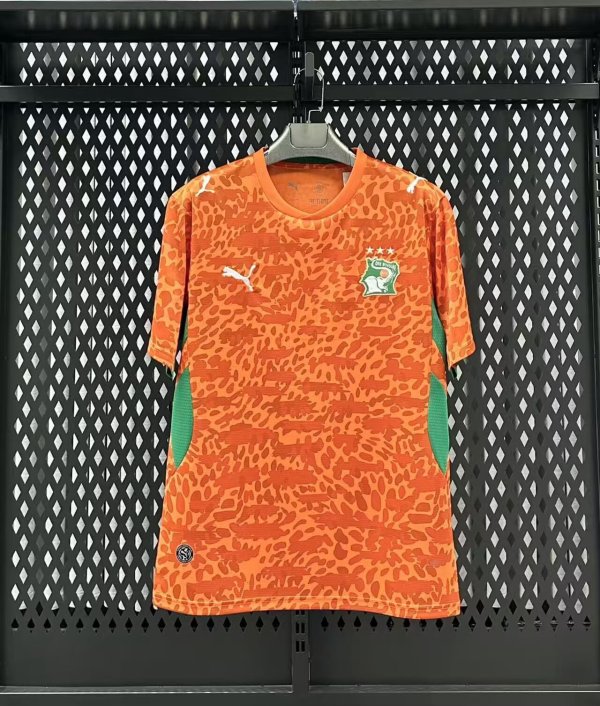 26/27 (2026)  Ivory Coast  Home Fans  1:1 Quality Soccer Jersey