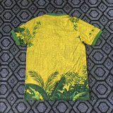 26/27 (2026） Brazil  Special Edition Fans 1:1 Quality Soccer Jersey