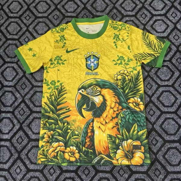 26/27 (2026） Brazil  Special Edition Fans 1:1 Quality Soccer Jersey