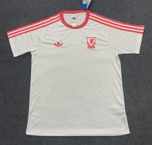 26/27（2026） Liverpool Retro Casual Fans 1:1 Quality Soccer Jersey