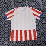 26/27（2026）Paraguay Home Fans 1:1 Quality Soccer Jersey