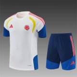 26/27 (2026）	Colombia Training Special Edition Fans White 1:1 Quality Soccer Jersey