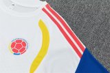 26/27 (2026）	Colombia Training Special Edition Fans White 1:1 Quality Soccer Jersey
