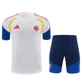 26/27 (2026）	Colombia Training Special Edition Fans White 1:1 Quality Soccer Jersey