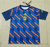 26/27（2026）Spain  Special Edition  Fans 1:1 Quality Soccer Jersey