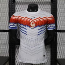26/27（2026） France  Special Edition Player 1:1 Quality Soccer Jersey