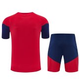 26/27 (2026) Spain Red 1:1 Quality Training Jersey（A-Set）