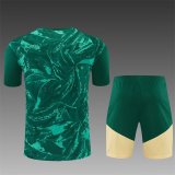 26/27 (2026)  Real Madrid Green  1:1 Quality Training Jersey（A-Set）