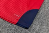 26/27 (2026) Spain Red 1:1 Quality Training Jersey（A-Set）