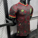 26/27 (2026) Mexico Special Edition Player 1:1 Quality Soccer Jersey