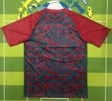 26/27（2026） Portugal Special Edition Fans 1:1 Quality Soccer Jersey