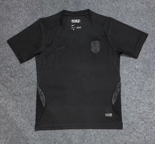 26/27 (2026) Norway  Away  Fans 1:1 Quality Soccer Jersey