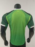 26/27（2026） Nigeria Home  Player 1:1 Quality Soccer Jersey