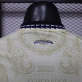 26/27 （2026）Argentina Special Edition  Player  1:1  Quality Soccer Jersey