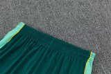 26/27 (2026)  Brazil Lake  Blue  1:1 Quality Training Jersey