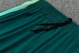 26/27 (2026)  Brazil Lake  Blue  1:1 Quality Training Jersey