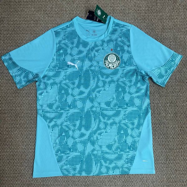 26/27(2026) Palmeiras Training Clothes Fans 1:1 Quality Soccer Jersey