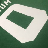2023  Boston Celtics  #0 TATUM 1:1 Quality NBA Jersey