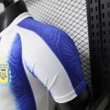26/27 （2026）Argentina Special Edition  Player  1:1  Quality Soccer Jersey