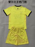 26/27 (2026)  Ireland Goalkeeper  Kids 1:1 Quality Soccer Jersey