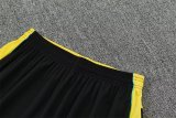 26/27 (2026) Brazil  Lake  White 1:1 Quality Training Jersey（A-Set）