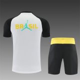 26/27 (2026) Brazil  Lake  White 1:1 Quality Training Jersey（A-Set）