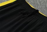 26/27 (2026) Brazil  Lake  White 1:1 Quality Training Jersey（A-Set）