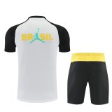26/27 (2026) Brazil  Lake  White 1:1 Quality Training Jersey（A-Set）