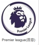 2015/2016 Leicester City Home Fans Retro 1:1 Quality Soccer Jersey