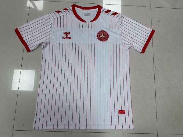 26/27 (2026) Denmark Away Fans 1:1 Quality Soccer Jersey