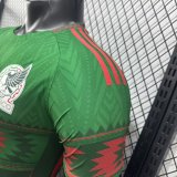26/27 (2026) Mexico Special Edition Player 1:1 Quality Soccer Jersey