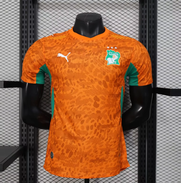 26/27 (2026)  Ivory Coast  Home Player 1:1 Quality Soccer Jersey
