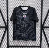 26/27 (2026)  Haiti Special Edition  Fans 1:1 Quality Soccer Jersey