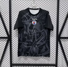 26/27 (2026)  Haiti Special Edition  Fans 1:1 Quality Soccer Jersey