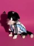 26/27 (2026)   Argentina  Home Dog pet  Fans 1:1  Quality Soccer Jersey