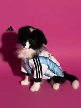 26/27 (2026) Argentina Home Dog pet Fans 1:1 Quality Soccer Jersey 26/27 (2026) Argentina Home Dog pet Fans 1:1 Quality Soccer Jersey