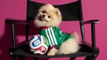 26/27 (2026) Mexico  Home Dog pet Fans 1:1 Quality Soccer Jersey