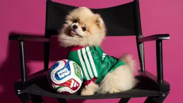 26/27 (2026) Mexico  Home Dog pet Fans 1:1 Quality Soccer Jersey