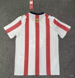 26/27（2026） Chivas  120th Anniversary Edition   Fans 1:1 Quality Soccer Jersey
