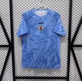 26/27 (2026)  Haiti Goalkeeper Sky Blue Fans 1:1 Quality Soccer Jersey
