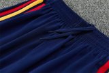 26/27 (2026) Spain  Training Suit Royal Blue 1:1 Quality Training Jersey