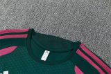 26/27 (2026)  Real Madrid Green  1:1 Quality Training Jersey（A-Set）